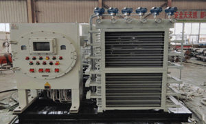 recipiprocating piston1