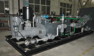 recipiprocating piston19