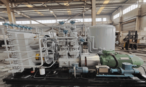 recipiprocating piston2