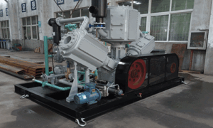 recipiprocating piston9