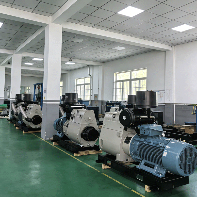 Sliding Vane Compressor - WEISIDUN